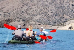 Water activity, kayak tours with a guide, cliff jumping