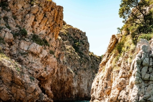 Bahías salvajes de la isla de Krk: Excursión privada en barco de medio día