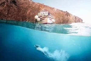 3,5 timer i vilde bugter: Svøm og snorkle med kaptajn Bobo (Offentlig)
