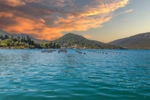 Tour della penisola di Peljesac per gli amanti del vino