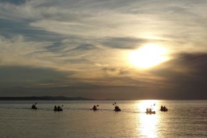 Zadar: 3–Hour Kayak Tour