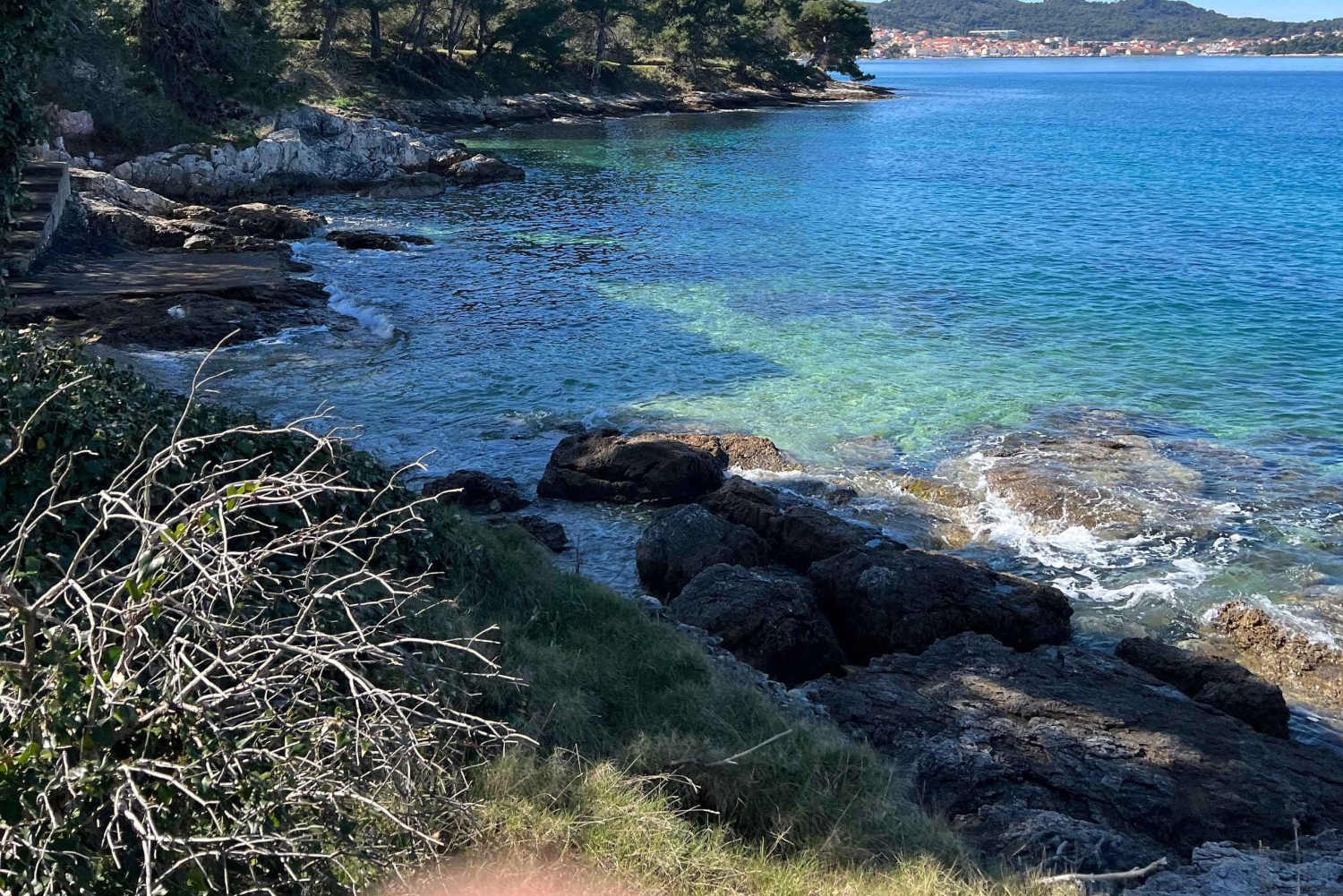 Zara: tour in motoscafo di 3 isole e nuotata nella baia blu con bevande