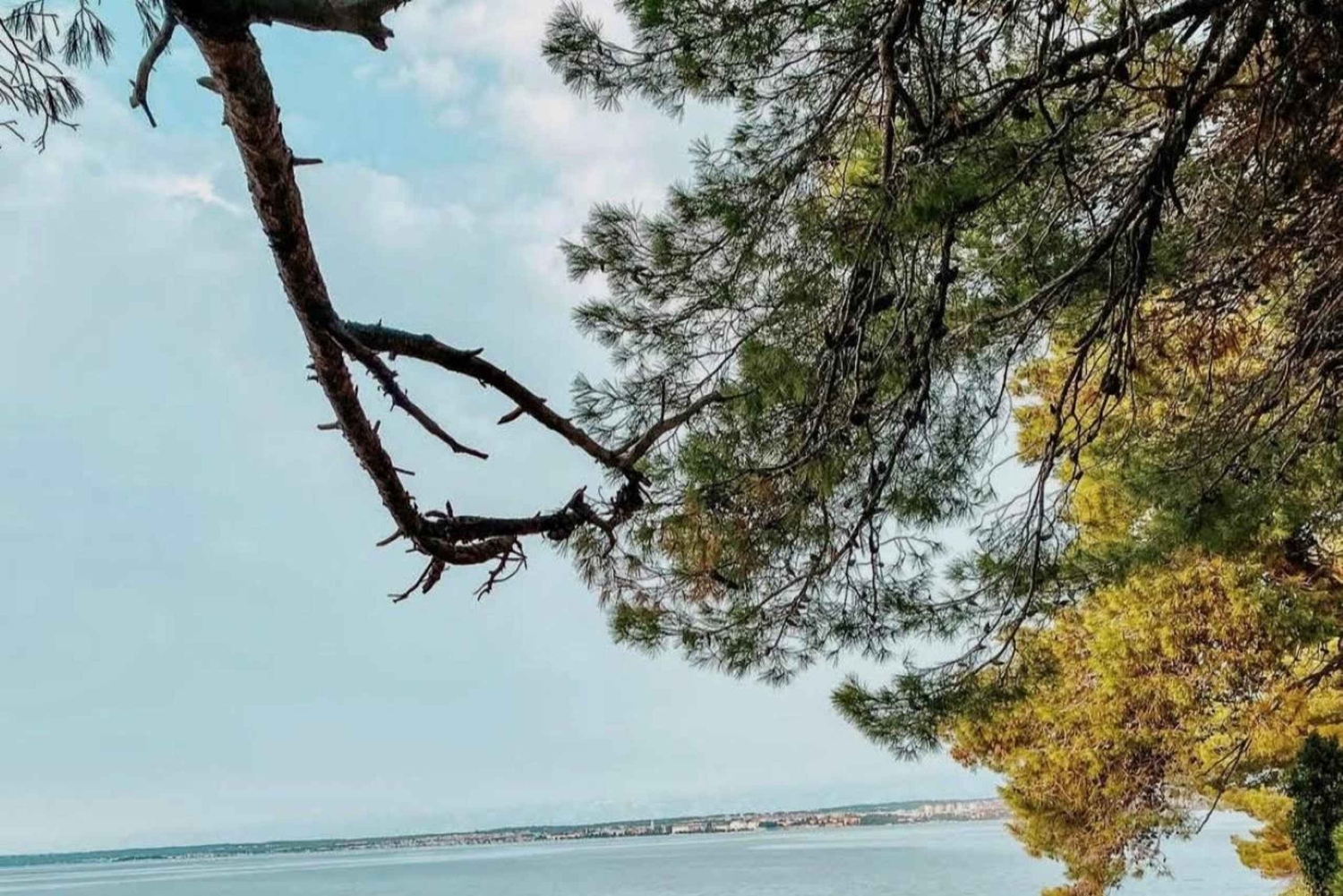 Zara: tour in motoscafo di 3 isole e nuotata nella baia blu con bevande