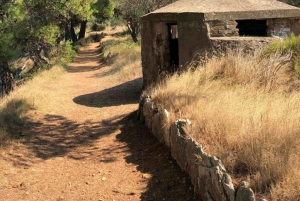 Zara: tour in motoscafo di 3 isole e nuotata nella baia blu con bevande