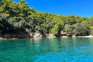 Zara: tour in motoscafo di 3 isole e nuotata nella baia blu con bevande