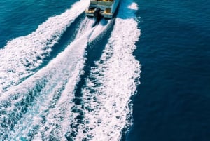 ザダル：3島スピードボートツアー＆ブルーベイで水泳（ドリンク付き）