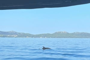 Zadar: escapadela relaxante de barco com vinho e frutas
