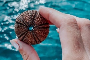 Zadar: Cruise aboard an Authentic Wooden Boat with Drinks