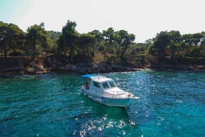 ザダル：シュノーケリング用具とドリンク付きボートツアー