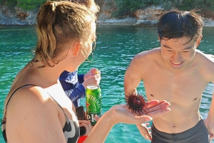 ザダル：シュノーケリング用具とドリンク付きボートツアー