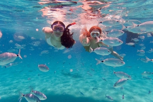 Zadar: Wycieczka 1-dniowa z nurkowaniem na wyspie Dugi Otok