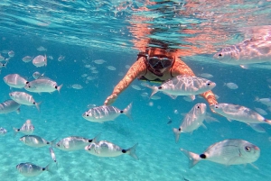 Zadar: Wycieczka 1-dniowa z nurkowaniem na wyspie Dugi Otok