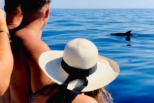 Zadar: Wycieczka 1-dniowa z nurkowaniem na wyspie Dugi Otok