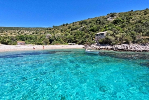 Zadar: Wycieczka 1-dniowa z nurkowaniem na wyspie Dugi Otok