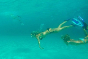 Zadar: Wycieczka 1-dniowa z nurkowaniem na wyspie Dugi Otok