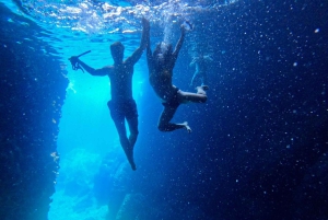 Zadar: Wycieczka 1-dniowa z nurkowaniem na wyspie Dugi Otok