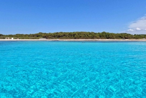 Zadar: Wycieczka 1-dniowa z nurkowaniem na wyspie Dugi Otok