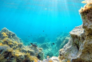 Zadar: Wycieczka 1-dniowa z nurkowaniem na wyspie Dugi Otok