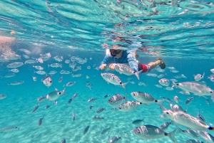 Zadar: Wycieczka 1-dniowa z nurkowaniem na wyspie Dugi Otok