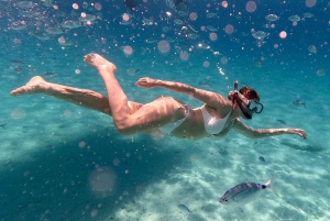 Zadar: Wycieczka 1-dniowa z nurkowaniem na wyspie Dugi Otok