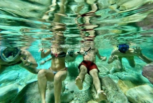 Zadar: Wycieczka 1-dniowa z nurkowaniem na wyspie Dugi Otok