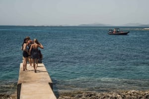 Zadar: Dugi Otok, Kornatin puisto, Sakarunin ranta Speedboat Tour