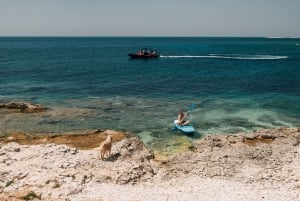 Zadar: Dugi Otok, Kornati Park, Sakarun Beach Speedboat-tur