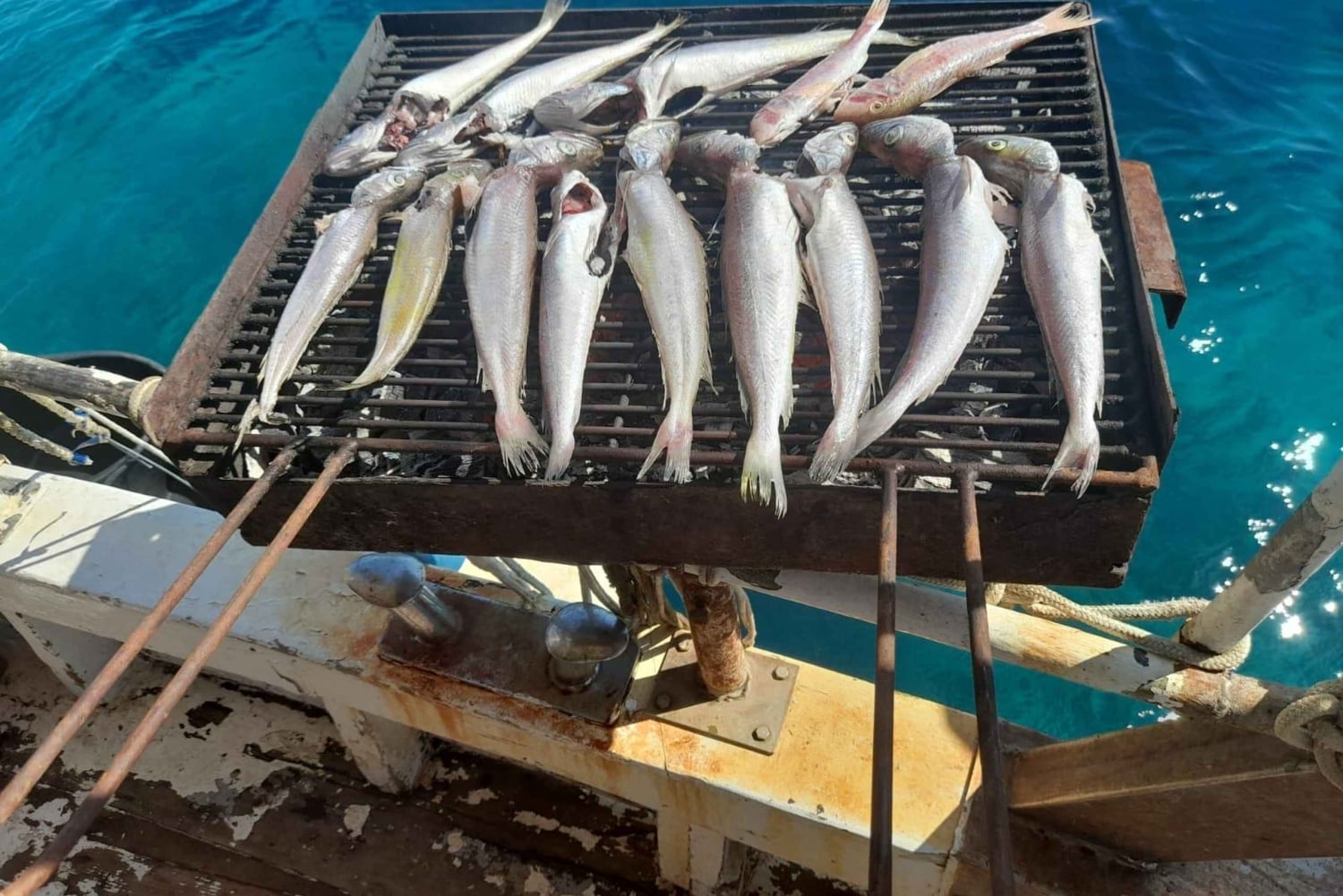 Zara: gita in barca da pesca con pranzo e nuoto inclusi