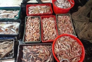 Zadar: Fisketur med lunsj og svømming inkludert