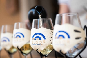 Zadar: Matprovning och rundvandring i Gamla stan