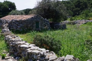 Zara: Escursione in barca a vela di un'intera giornata alle Kornati