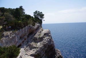 Zara: Escursione in barca a vela di un'intera giornata alle Kornati