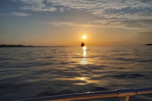 Zadar: Half-Day Island Boat Tour with Snorkeling and Drinks