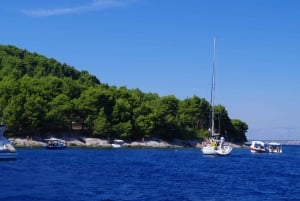 Halvdags seiltur i Zadar