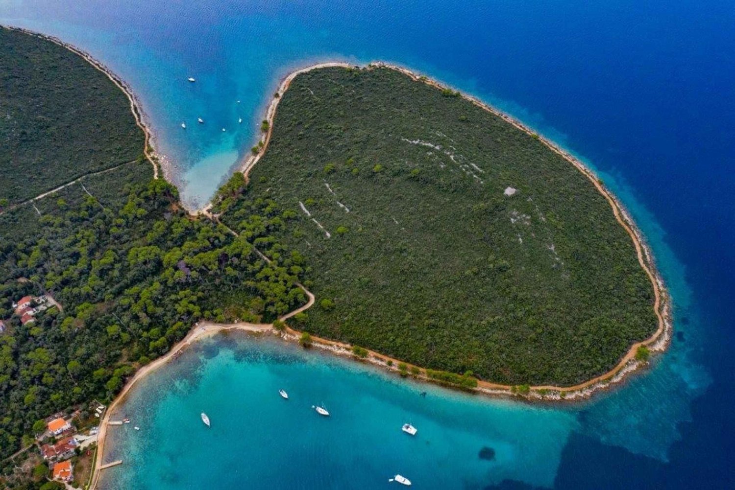 Zadar: Half Day Speedboat Adventure