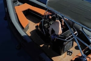 Zadar: excursão de meio dia de lancha com mergulho e bebidas