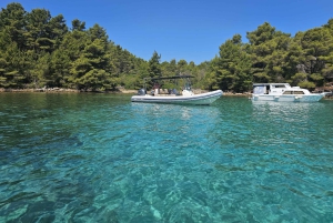 Zadar: excursão de meio dia de lancha com mergulho e bebidas