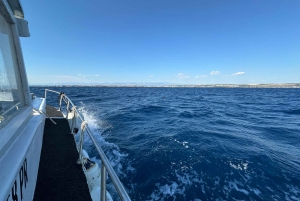 Zadar: viagem de meio dia de barco com bebidas e mergulho com snorkel