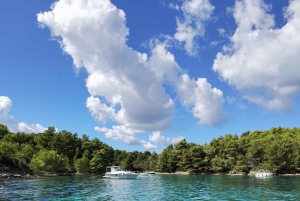 Задар: полудневная поездка на лодке с напитками и сноркелингом