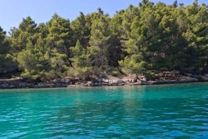 Zadar halfday 3 islands with diving, drinks and fresh fruit