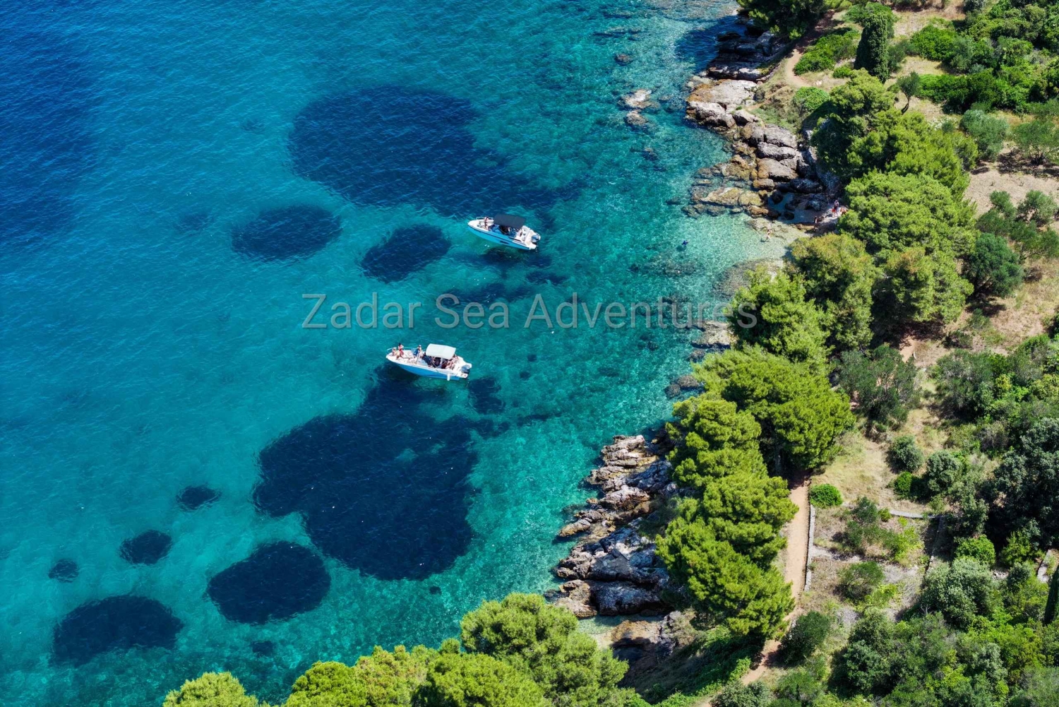 Zadar: excursión por las islas, nade y practique snorkel con bebidas incluidas