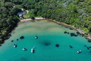 Zadar: excursión por las islas, nade y practique snorkel con bebidas incluidas