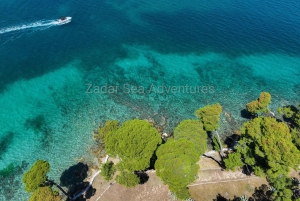 Zadar: excursión por las islas, nade y practique snorkel con bebidas incluidas