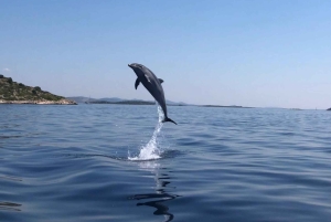 Zadar: Island Luxury Speedboat Tour with Snorkeling