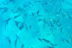 Zadar: escapadela relaxante de barco com vinho e frutas