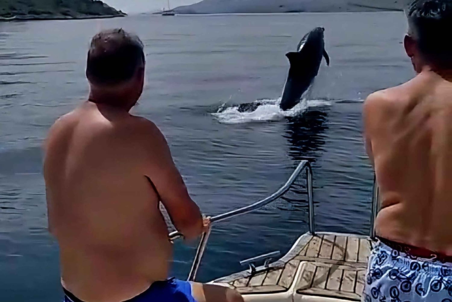 Zadar: Saaret ja laguunit -kierros juomineen ja ekologisilla hedelmillä...