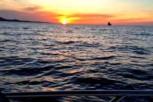 Zadar: Saaret ja laguunit -kierros juomineen ja ekologisilla hedelmillä...