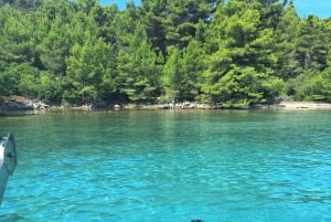 Zadar: Saaret ja laguunit -kierros juomineen ja ekologisilla hedelmillä...