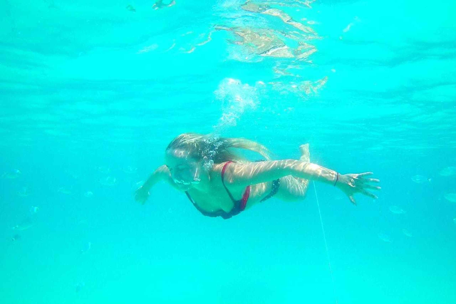 Ilhas de Zadar: Excursão particular de lancha aos tesouros escondidos