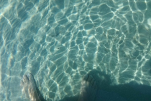 Zadar Islands: Private Hidden Treasures Speedboat Tour